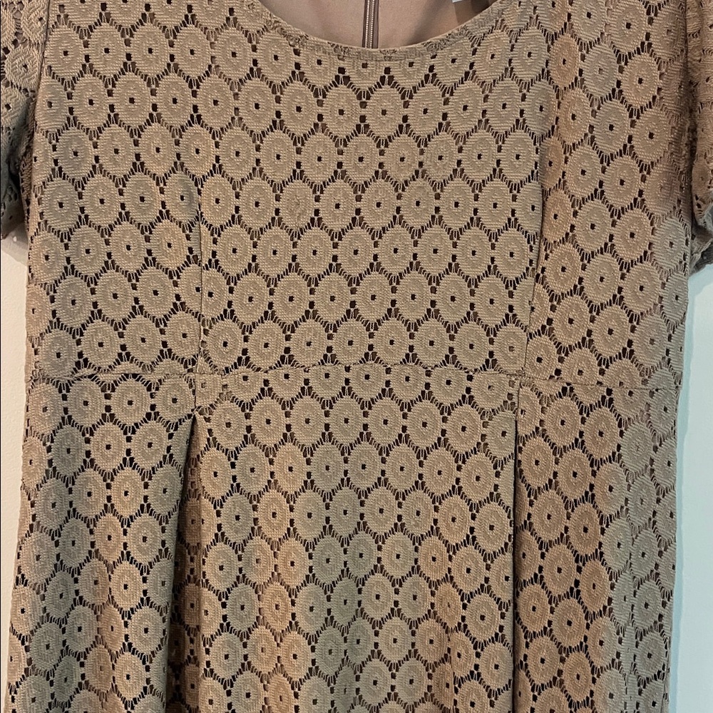 Rabbit Rabbit Rabbit Beige Lace Overlay Dress - Picture 4 of 8